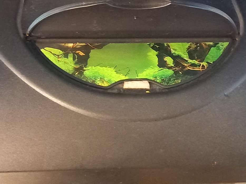 Vand acvariu pentru pesti