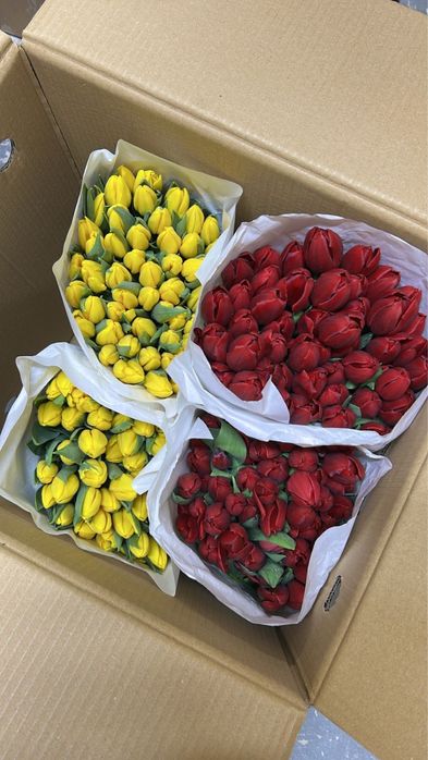 Тюльпаны город Тараз оптом и в розницу