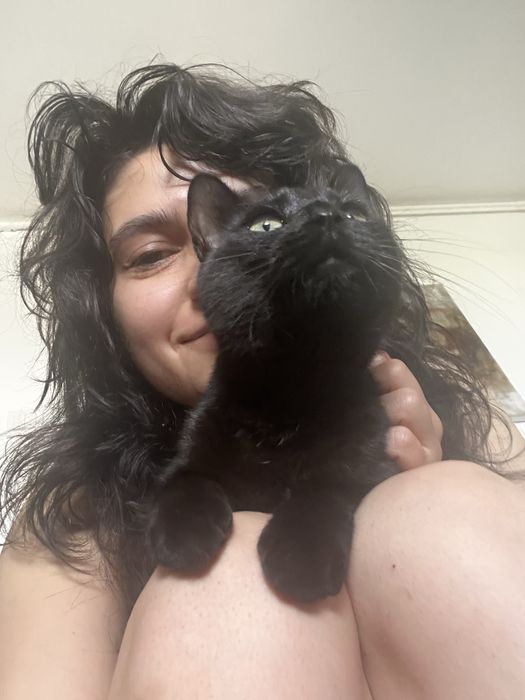 Pet sitting pentru lăbuțe fericite și inimi liniștite