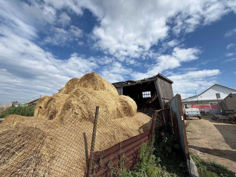 Продажа дома в село Садчиковка