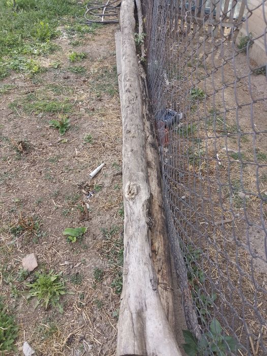 Терек   2   шт   5   метр