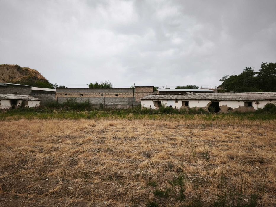 Yu  Ферма 60 соток Янгиюльский район, п.Джамбул