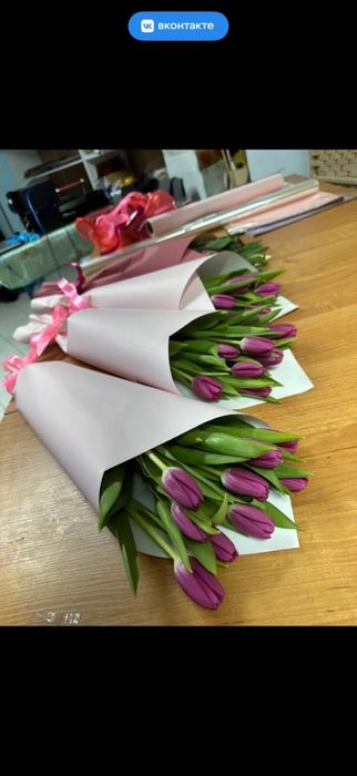 Тюльпаны предзаказ к 8 марта