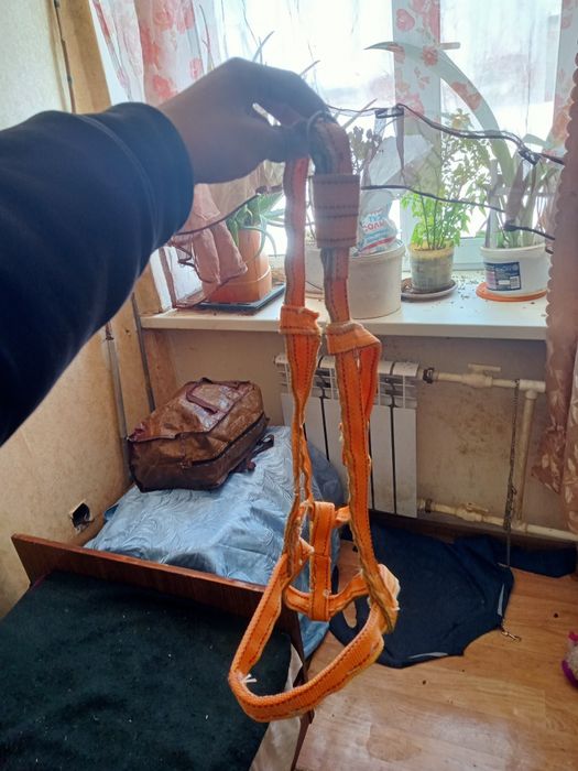 Не дауздок 3 тычет