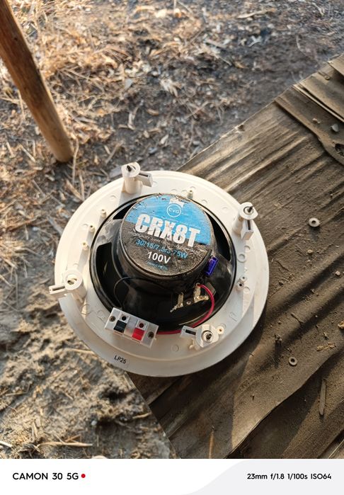 Динамики динамики