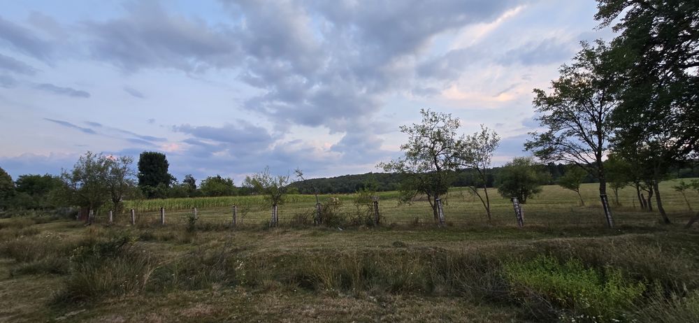 Teren de vânzare – Meziad, jud. Bihor – intravilan + extravilan | Zonă