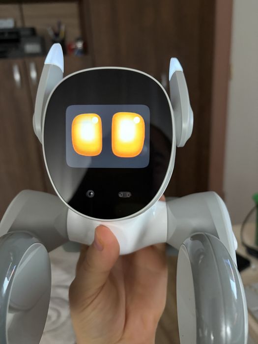 Vand Loona premium, robot inteligent