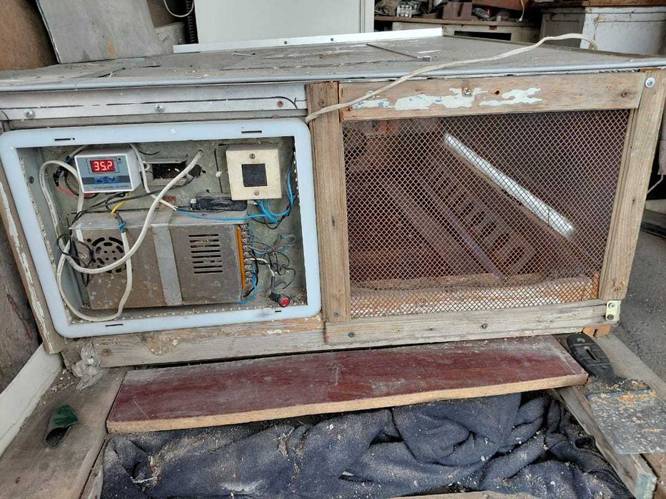 Брудер для цеплят