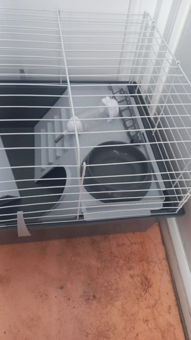 Продам клетку для кролика дикаротивнова