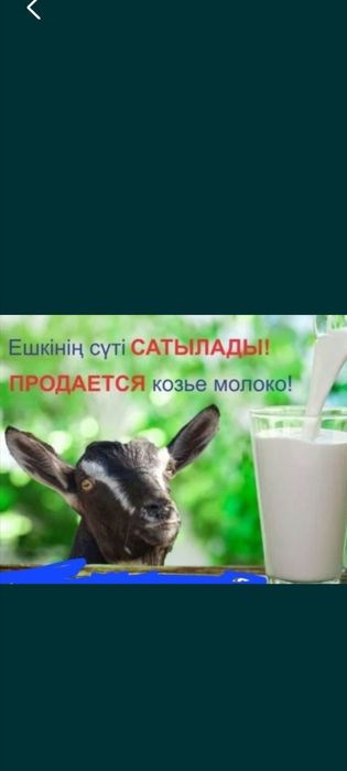 Продаётся козье молоко
