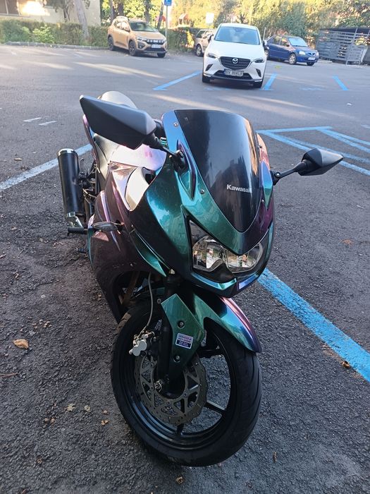 Kawasaki ninja 250 R