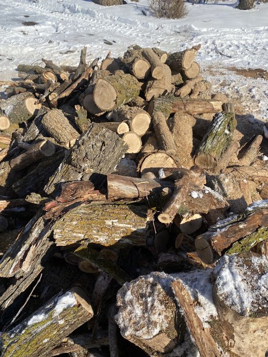 Дрова! карагач сухой. Чурки