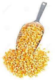 Porumb pentru floricele, popcorn,nemodificat genetic,nu este hibrid