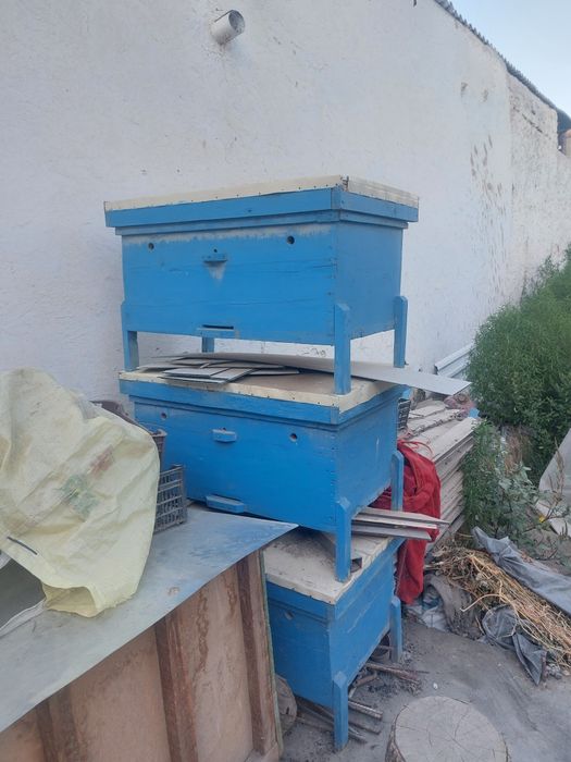 Асалари уялари сотилади