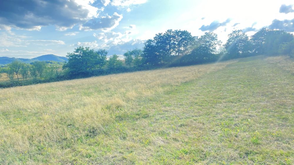 Vând teren extravilan