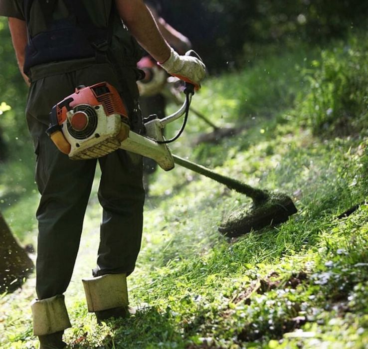 Oferim servici de tăiat si greblat iarba Defrisari terenuri