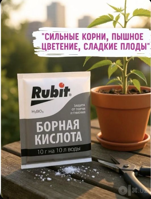 Борная кислота для растений