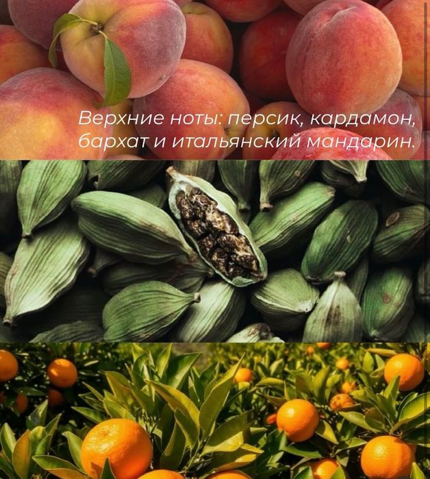 Chimilka отливает 5 мл. ОРИГИНАЛ