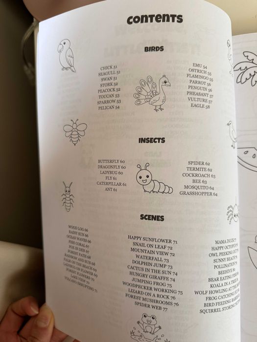 Carte de desen pas cu pas pentru copii în engleză