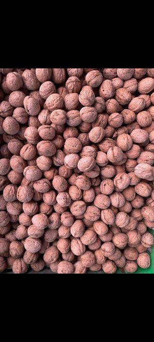 Продам Грецкие орехи