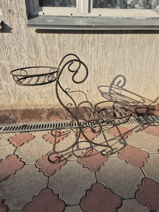 Цветы домашние горшковые