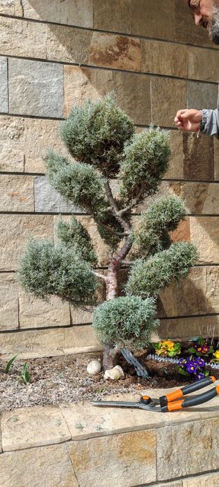 Градинарски услуги и аранжиране на градини с отношение към клиента