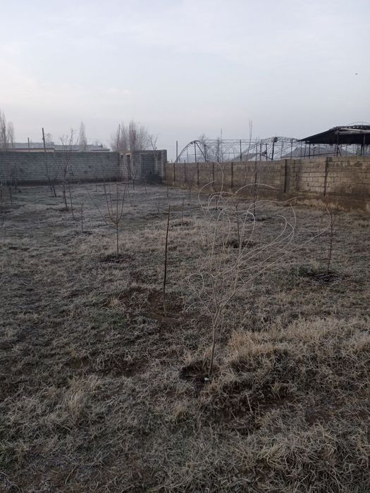 Срочно ер сотилади Чинозда