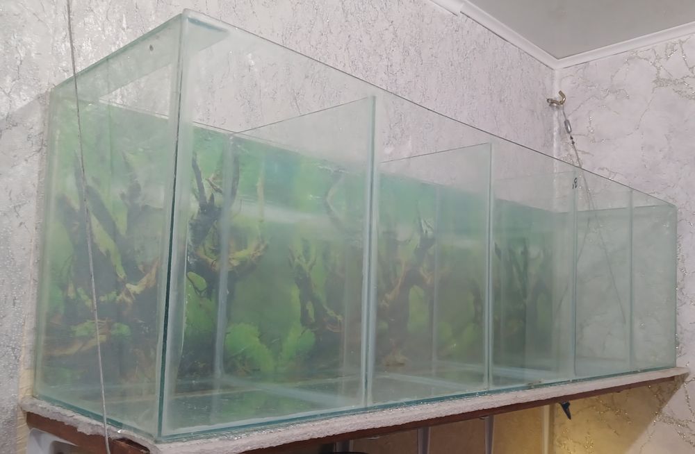 Аквариум секционный