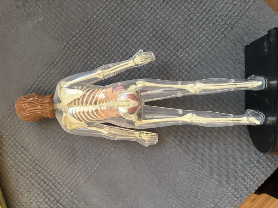 Cartii plus doua manechine barbat si femeie pentru copii corpul uman