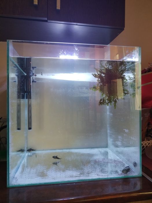 Vând acvariu 125 de litri complet echipat !