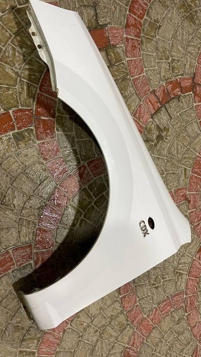 Lasseti chap krilo 2013 radnoy kraska