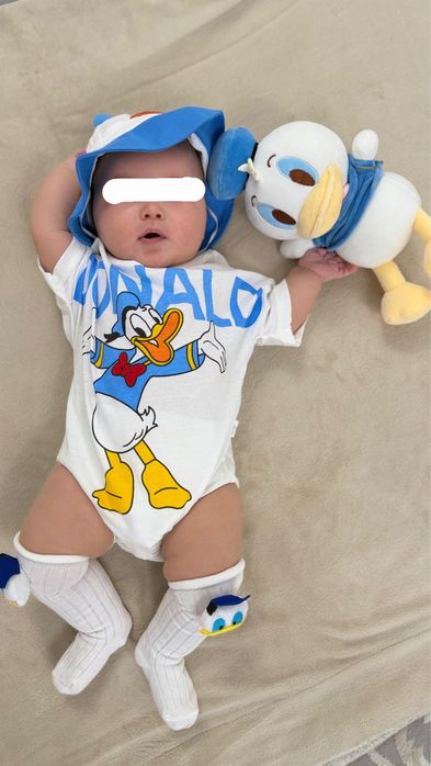 Образ Donald duck