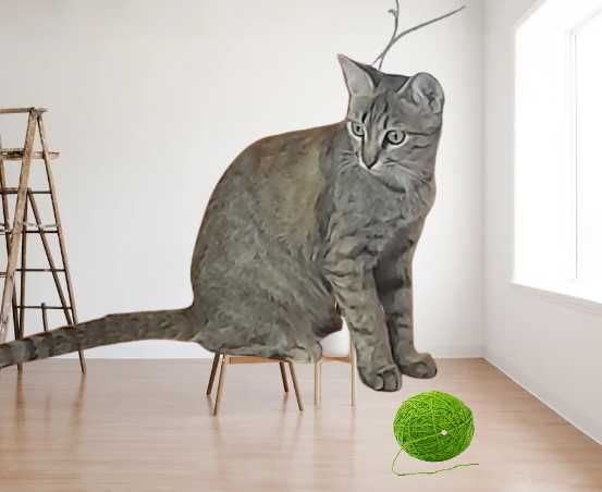 Кошка взрослая 1,5 года