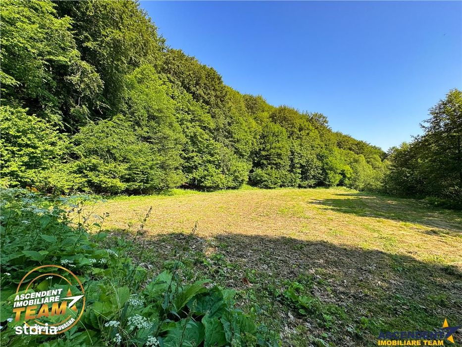 FILM! Teren extravilan pe 2.737mp,zona pretioasa,acces facil,Dobarlau,