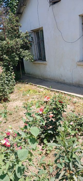 Продаётся дом с большим участком 20 соток