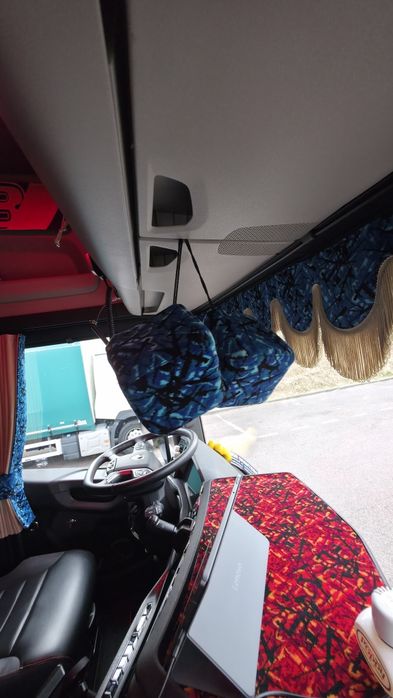 Vand perdele camion Scania Plus Danez (danish pluche)