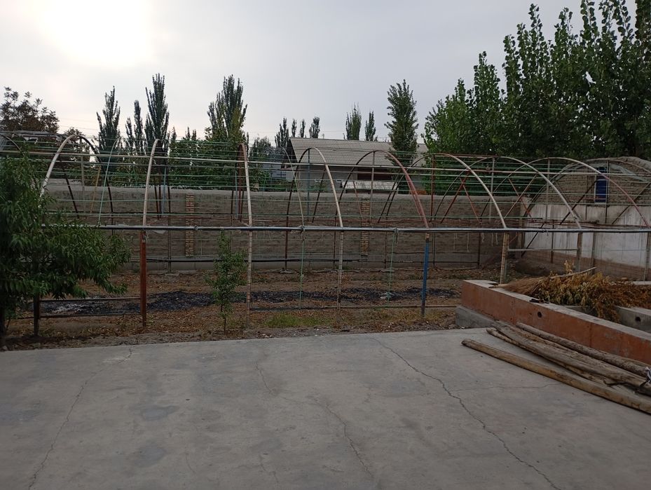 Tepilisa 2 sotix 8 .20