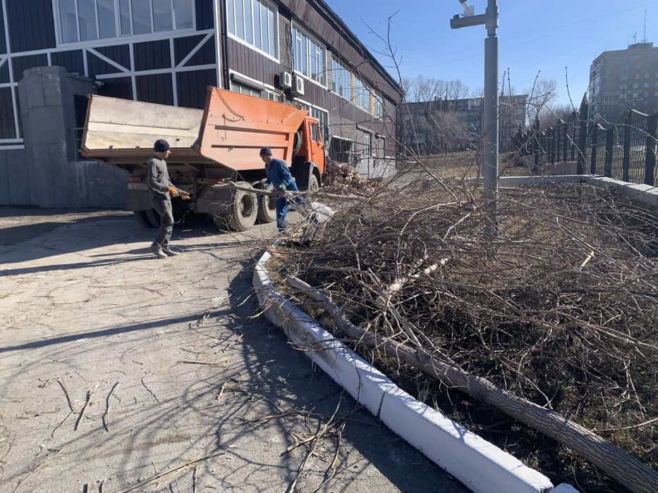 Спил подрезка деревьев