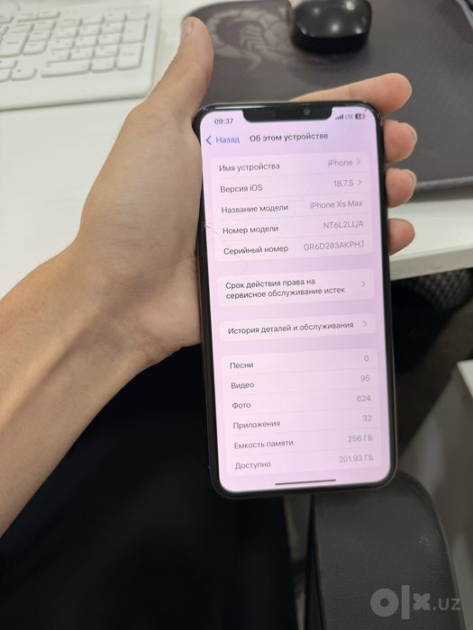 iPhone Xs Max  256 GB