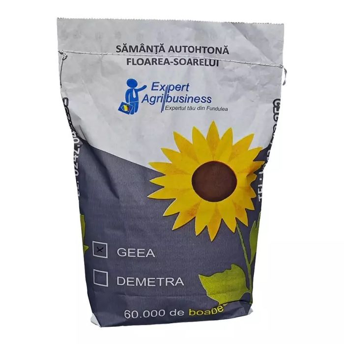 Floarea soarelui Geea semitimpuriu