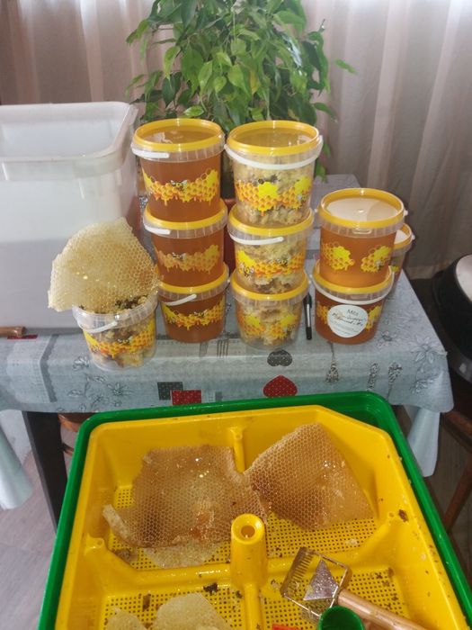 Продам МЁД свежий со своей пасеки