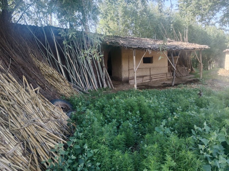 Ташкент в Бука Бука мфй қудайқул махалласи