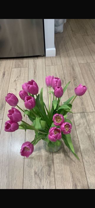 Продаются свежие тюльпаны