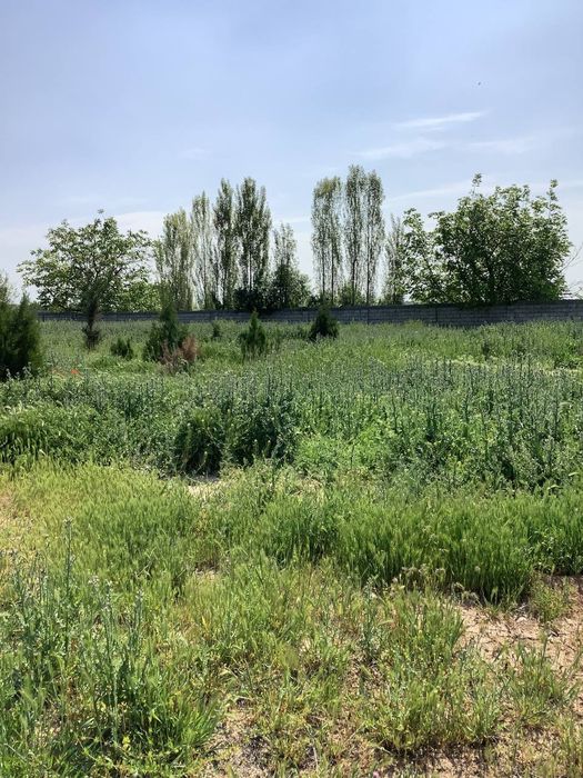 База с общей земельной площадью 4 гектара. Кадастр. Кибрай. Срочно.