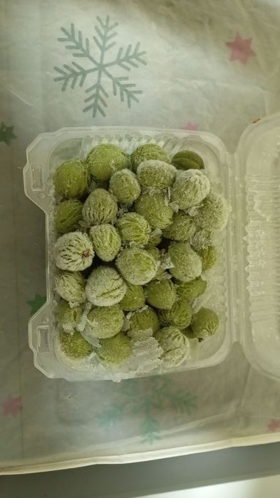 Dovcha bor kok sulton bor va ravoch bor