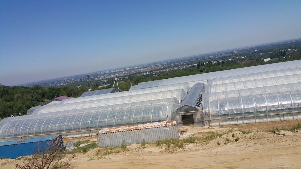 Продам Типлицу тепличный комплекс