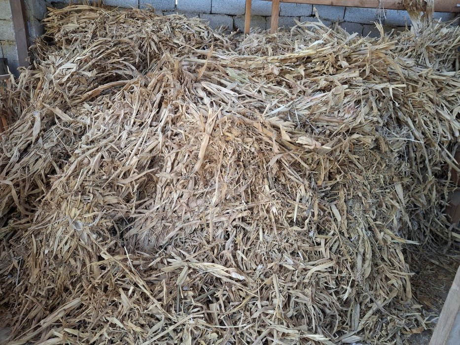 Шөп сатылады екі телешка