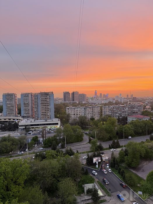 Собственник! Хамид Алимджан 2 в 3 18/19