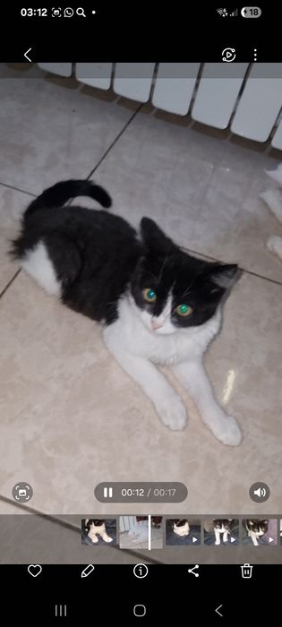 Малыш ищет мампап. Доставлю!