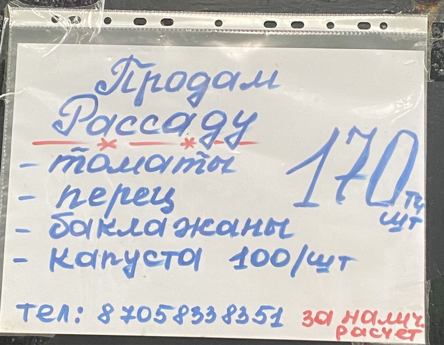 Продам рассаду из теплицы